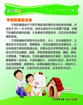 子宫肌瘤怎么办