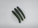 水黄瓜