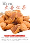 杏仁海报
