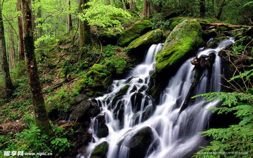 自然风光风景