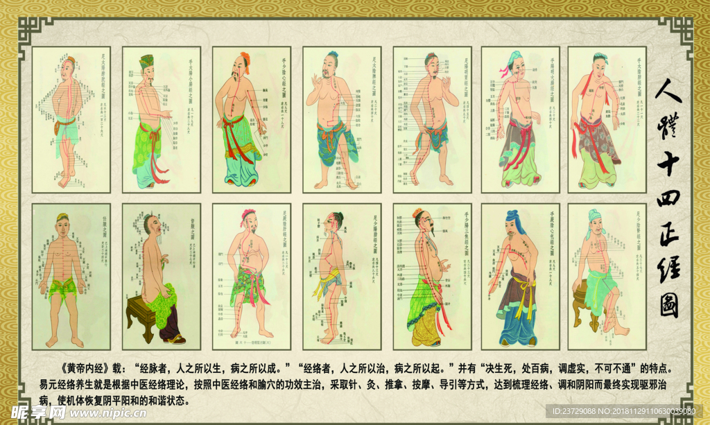 经络图