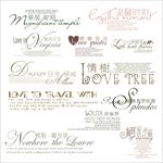 婚纱 写真 字体 素材 模板