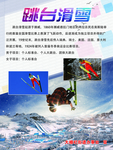 跳台滑雪