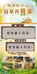 蜂蜜易拉宝