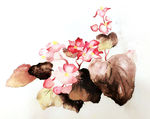 花