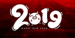 2019年会背景