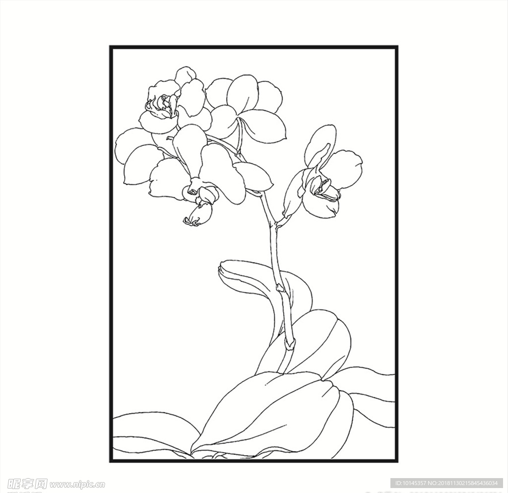 花卉