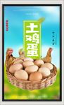 土鸡蛋