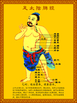 足太阴脾经