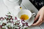 饮茶