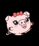 呆狸 美美猪 卡通 手绘 人物