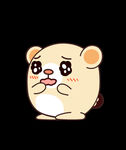 呆狸 圆圆熊 熊猫 幼儿园