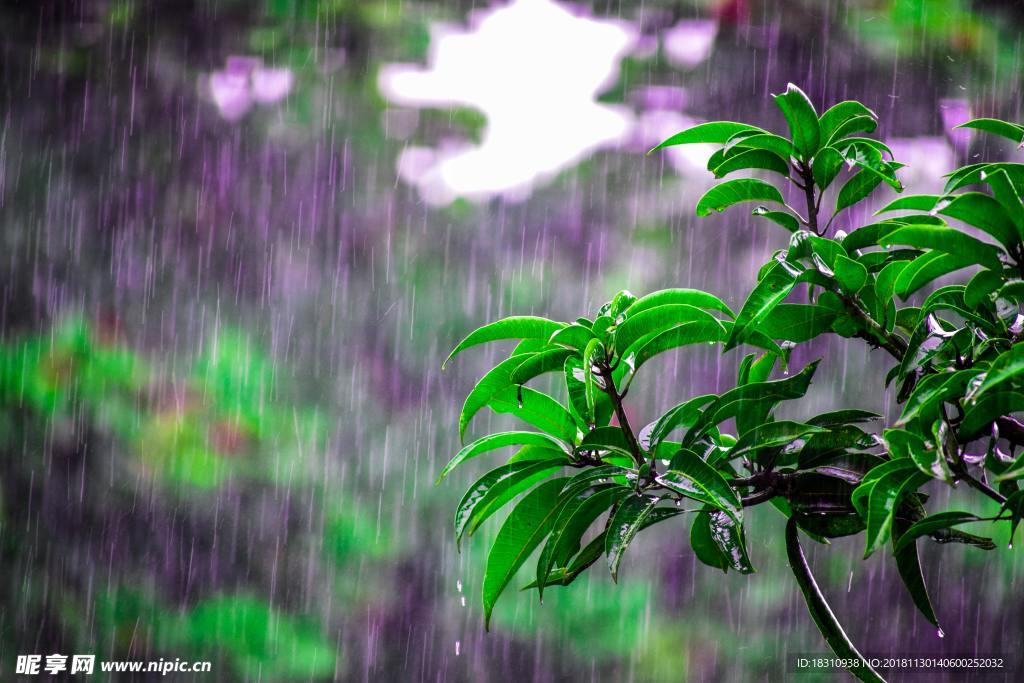 下雨