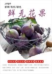 无花果海报