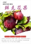 无花果海报