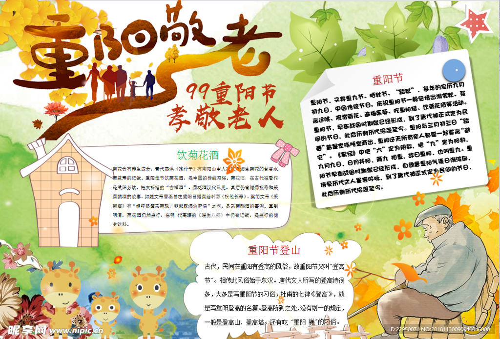 重阳节小报