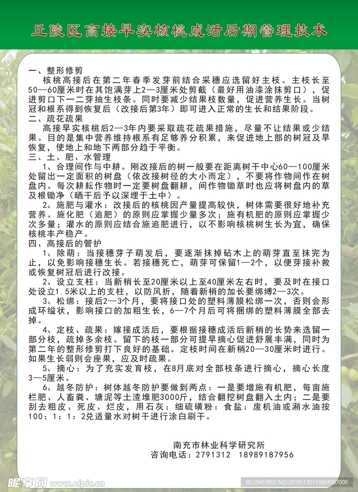 核桃宣传