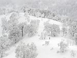 雪景