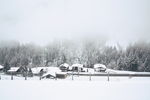 雪村