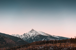 山