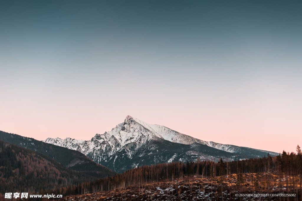 山