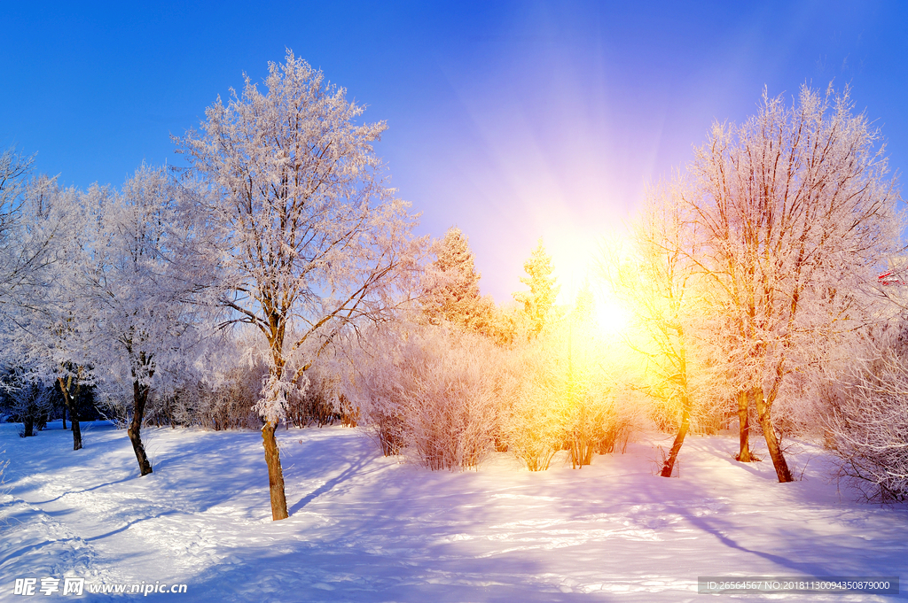 风景  雪景  阳光