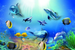 海底世界