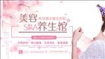 美容养生改善肤质美白祛皱收毛孔