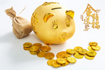 金猪送福