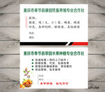 脐橙名片