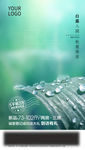 白露  节气