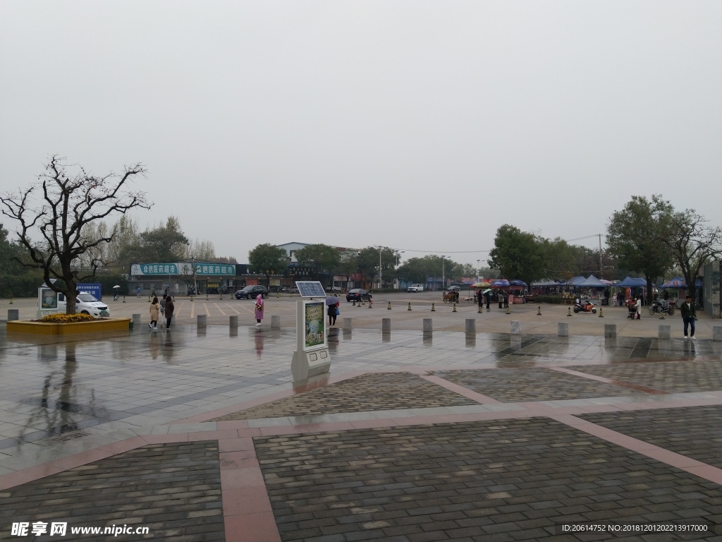雨天的公园风景