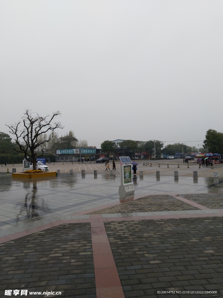 雨天的公园风景