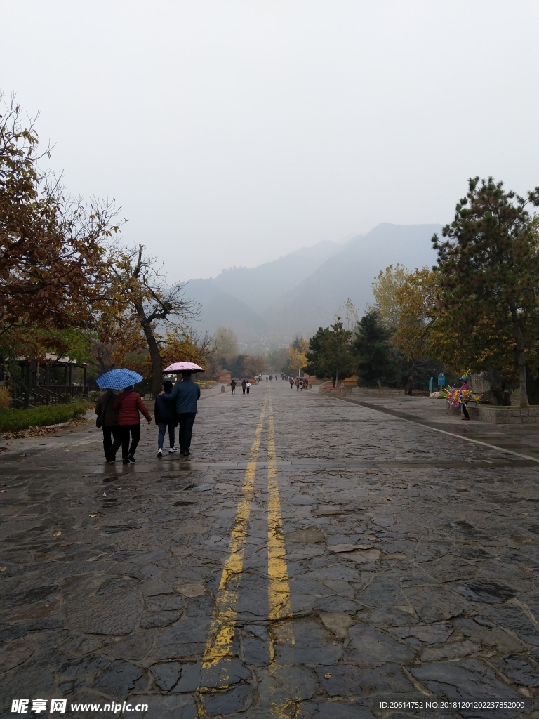 雨天的公园风景