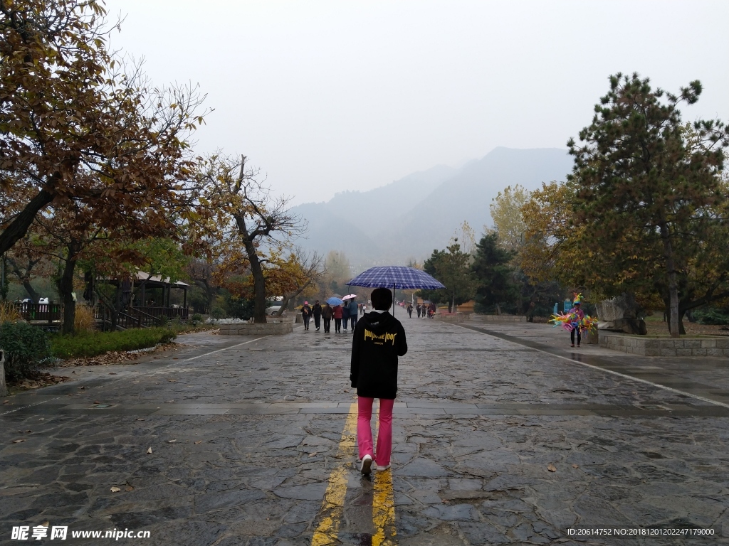 雨天的公园风景