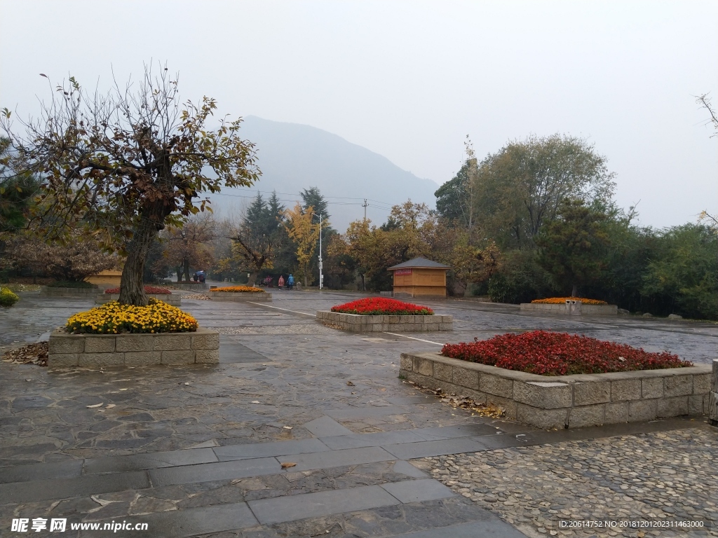 雨天的公园风景