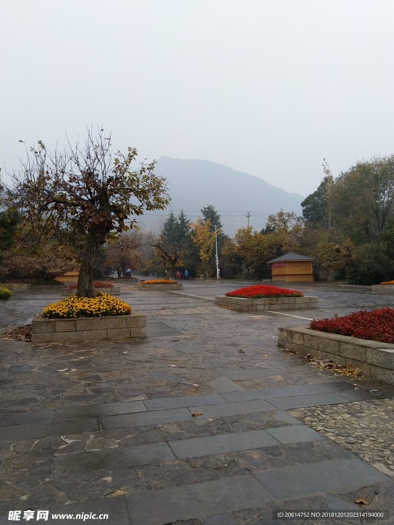 雨天的公园风景