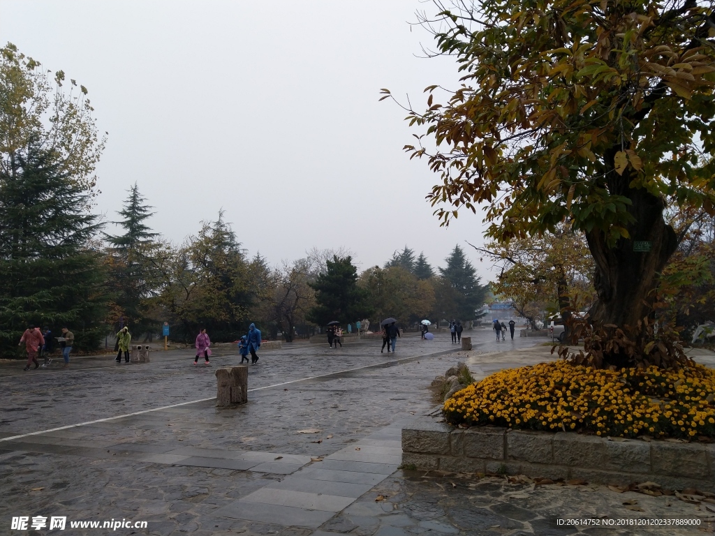雨天的公园风景
