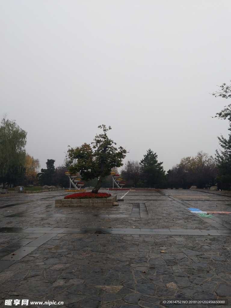 雨天的公园风景