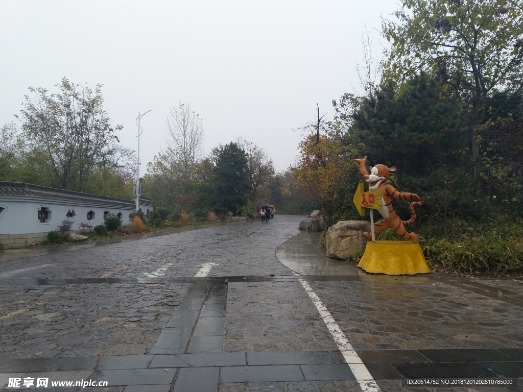 雨天的公园风景