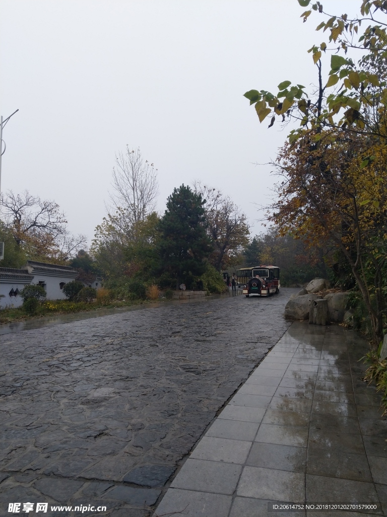 雨天的公园风景