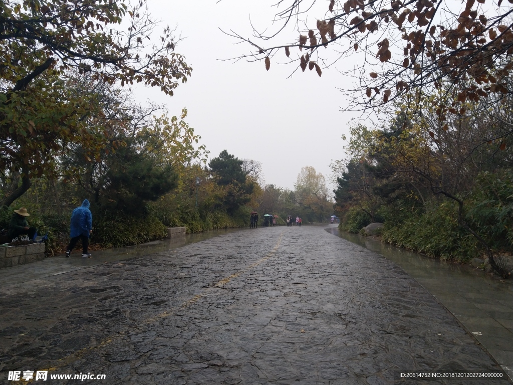 雨天的公园风景