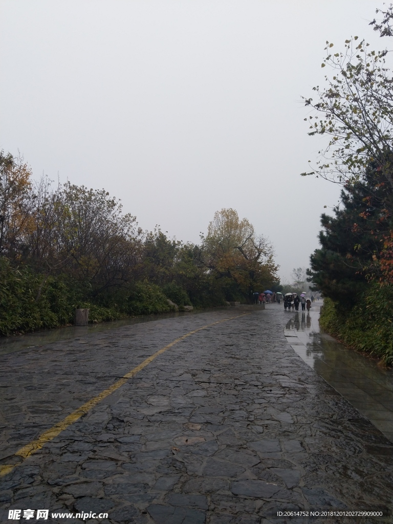 雨天的公园风景