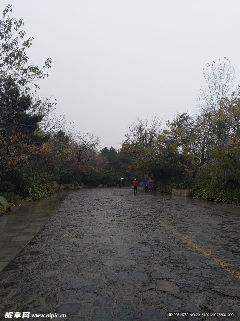 雨天的公园风景