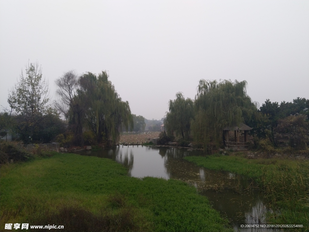 公园河道风景