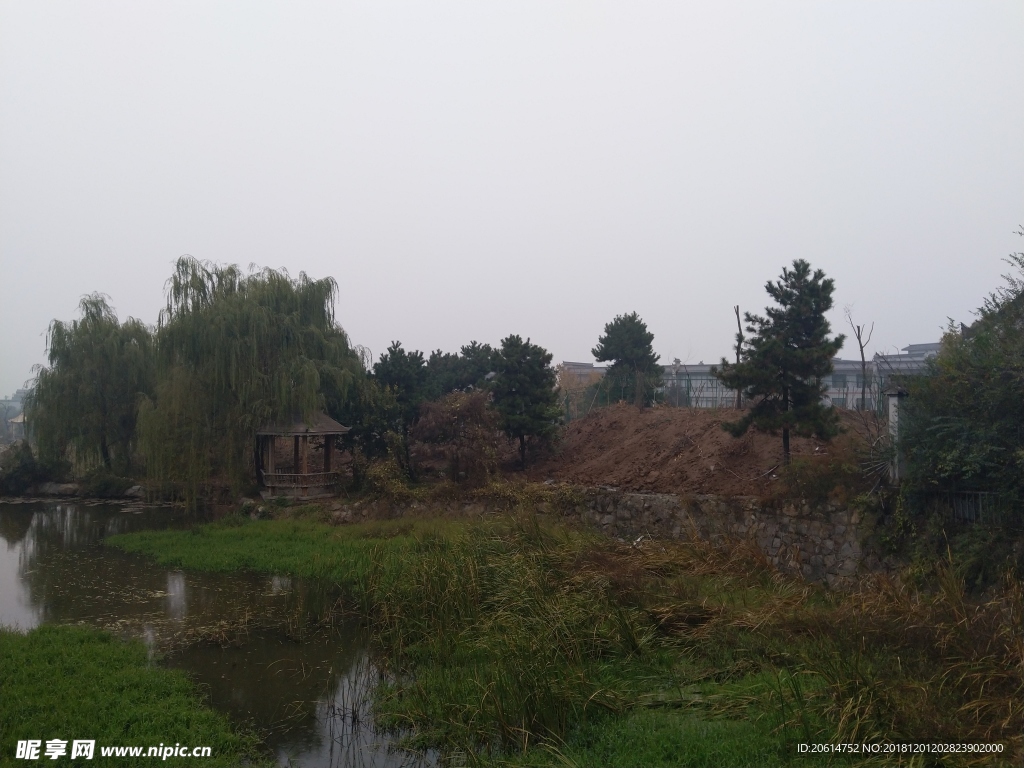 公园河道风景