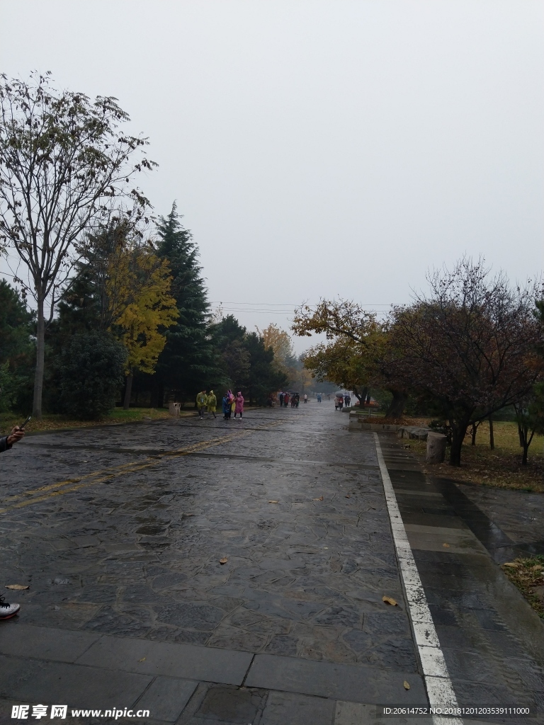 雨天的公园风景