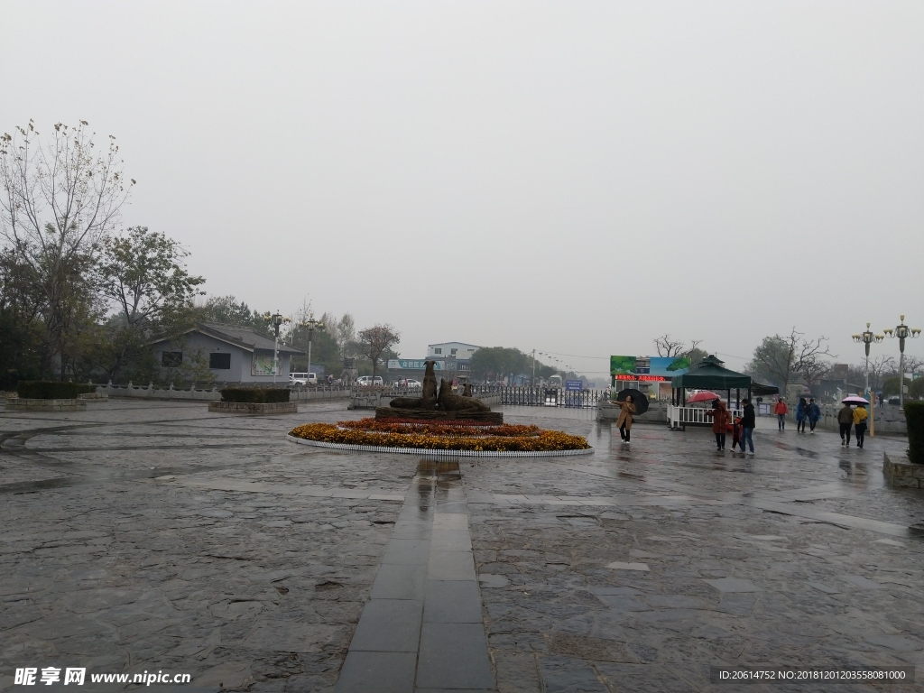 雨天的公园风景