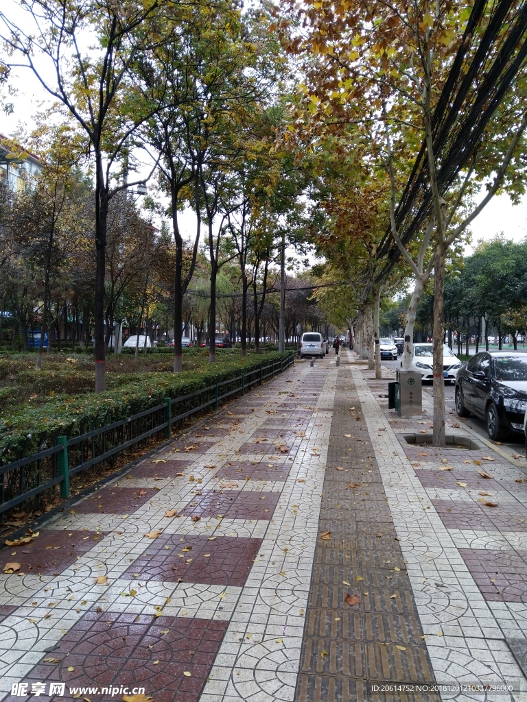 城市街道风景