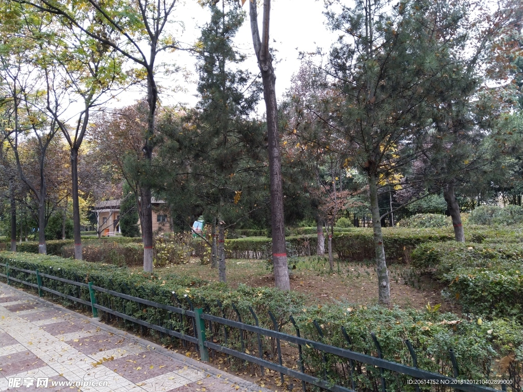 城市街道